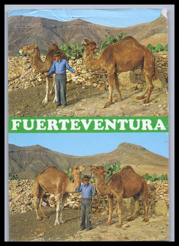 Cartolina fuerteventura - cartolina,