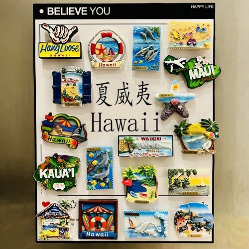 Calamita frigo hawaii waiki - calamita,