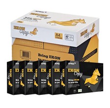 A4 Ekon copy april carta x