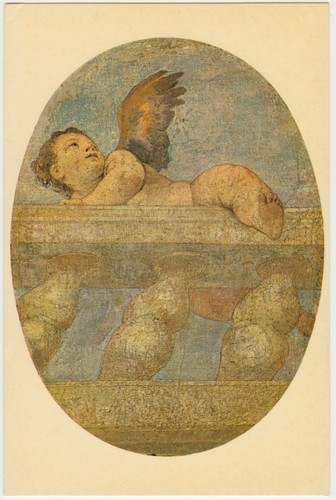 Paolo veronese putto angelo - putto,