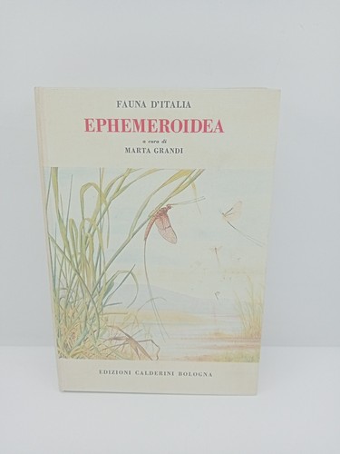 Ephemeroidea marta grandi - marta,