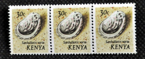 Kenia conchiglie marine - marine,
