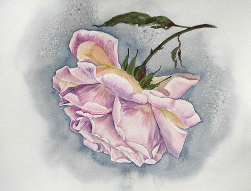 Vintage rosa - vintage,