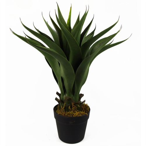 Pianta yucca artificiale - pianta, di