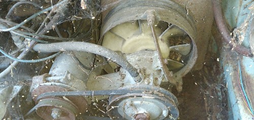 Motore fiat 850 - motore, special