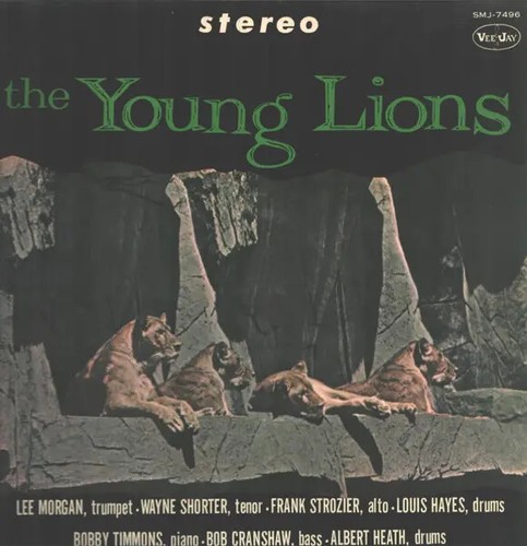 The young lions japan near - young,