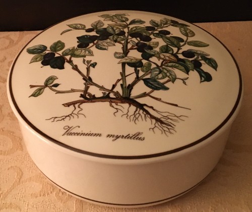 Villeroy boch botanica 6 - villeroy, 6"