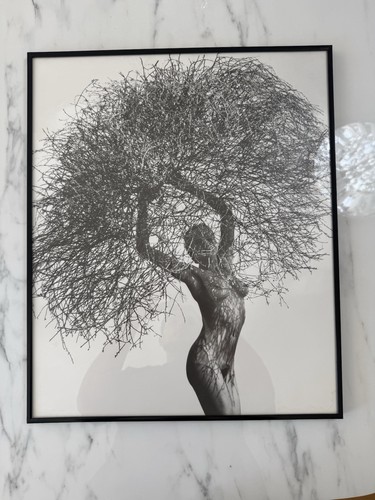 Affiche photo herb ritts - affiche,