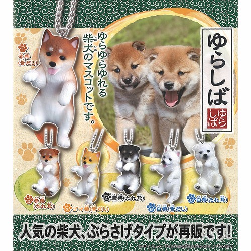Swinging shiba inu cucciolo - shiba,