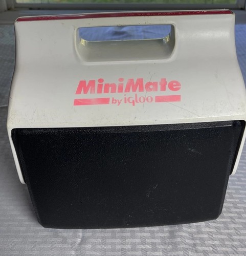 Mini mate cooler - mate, igloo