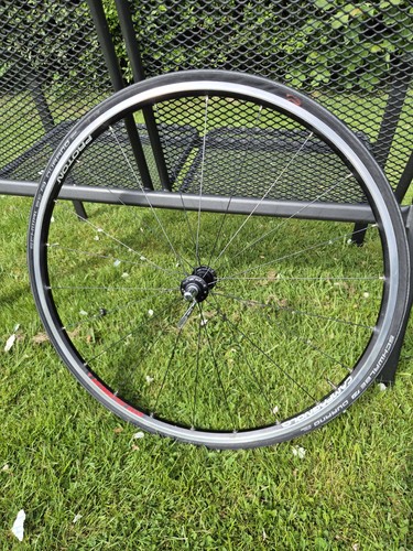 Ruota anteriore campagnolo - ruota,