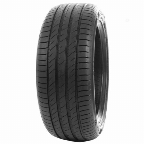 Gomma estivo delinte ds2 195 - ds2,