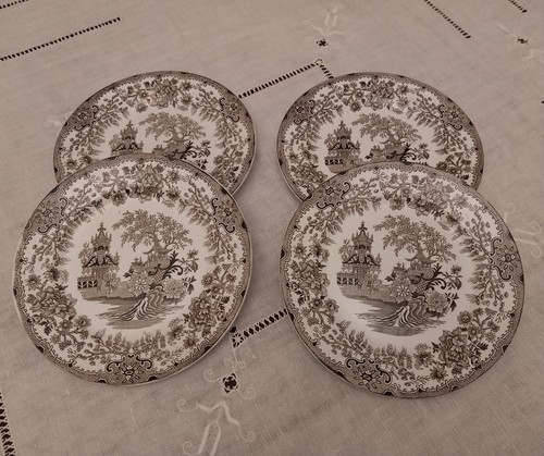 Piatti decoro colandine - decoro,