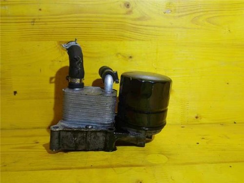 Radiatore olio motore - olio,