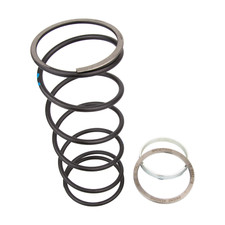 SPRING SLIDER PINASCO MOLLA