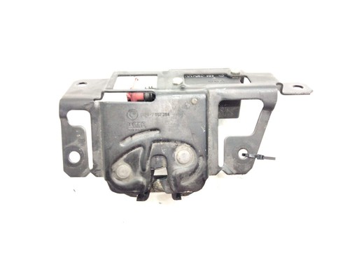 7057364 trunk gate lock - trunk,