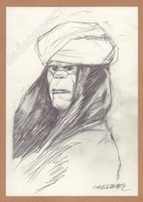 Liberatore Tanino Dessin