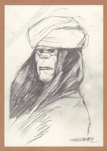Liberatore tanino dessin - tanino,