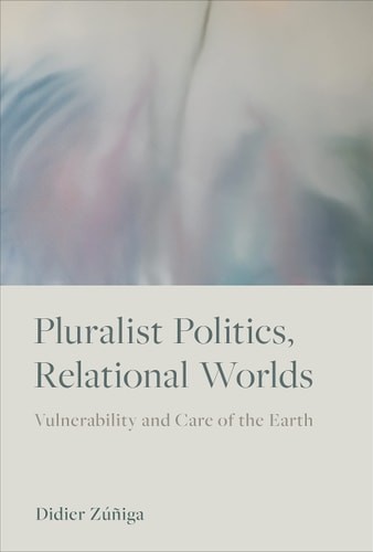 Pluralist politics relational - politics,,