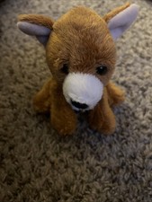 RUSS'S CHIHUAHUA LITTLE BABY