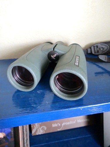 Swarovski slc 10x42 - 10x42, hd