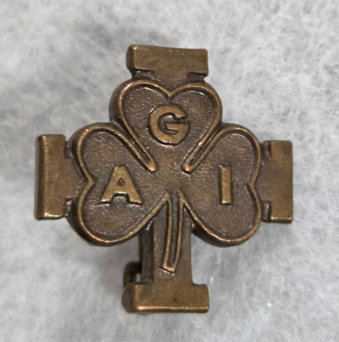 Distintivo pins agi - pins,