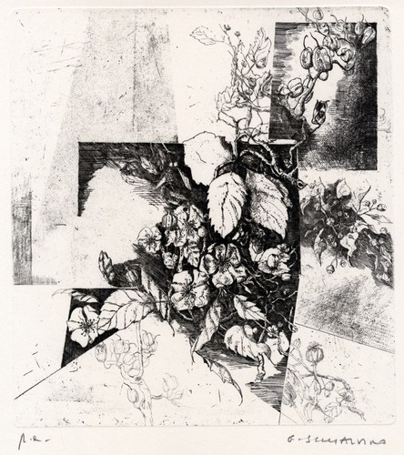 Schialvino gianfranco - schialvino,