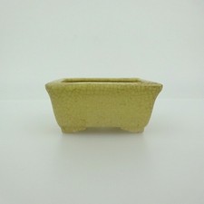Vaso per bonsai giapponese