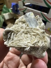 BERILLO - ACQUAMARINA