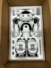 NAO V6 robot