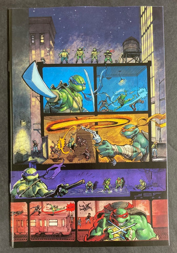 Teenage mutant ninja turtles - mutant,