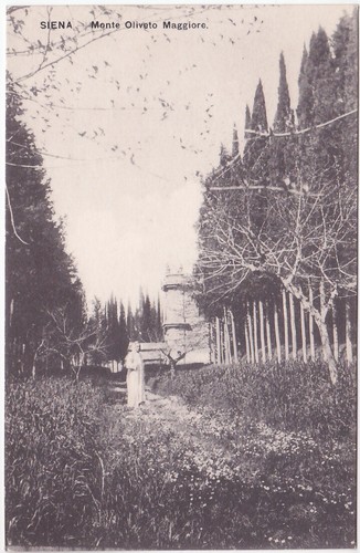 Monte oliveto maggiore - monte,