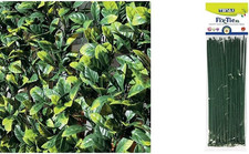 Divy 3D plus Laurus, Siepe