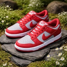 Nike Dunk Low UNLV 2021 Medium