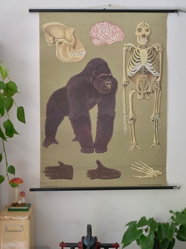 Vintage cartolina da parete - vintage,