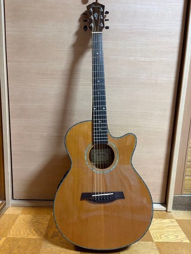 Chitarra elettroacustica
