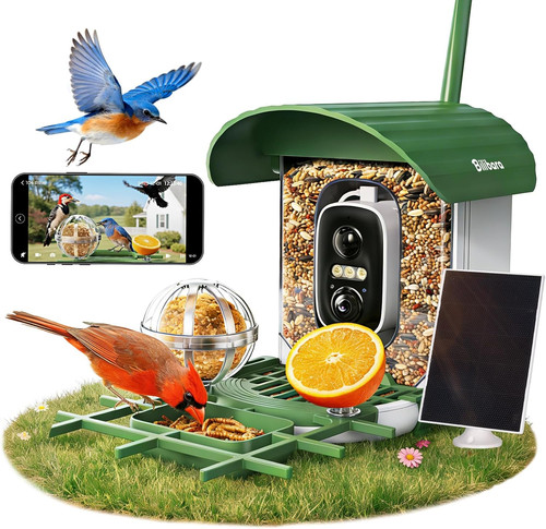 Bird feeder with - bird,