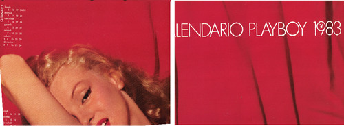Calendario gigante playboy - calendario,