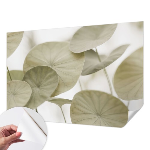 Peel and stick carta parati - and,