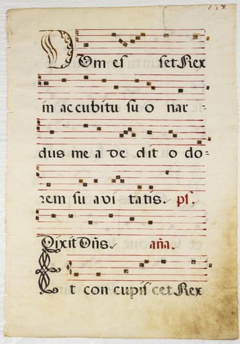 Manoscritto miniato xvi secolo - xvi,