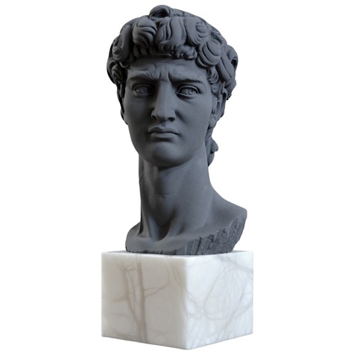 Volto david scultura - volto, da