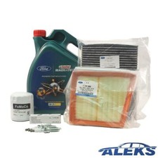 Kit Revisione Originale Ford