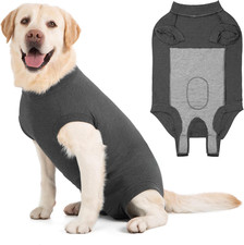 Body Post Operatorio Cane