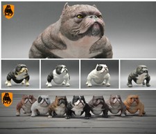 M7 Studio American Bully