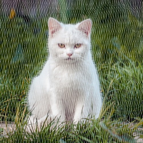 Rete per gatti balcone - rete, da