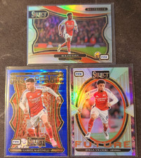 ARSENAL LOTTO 3-2024-25 PANINI