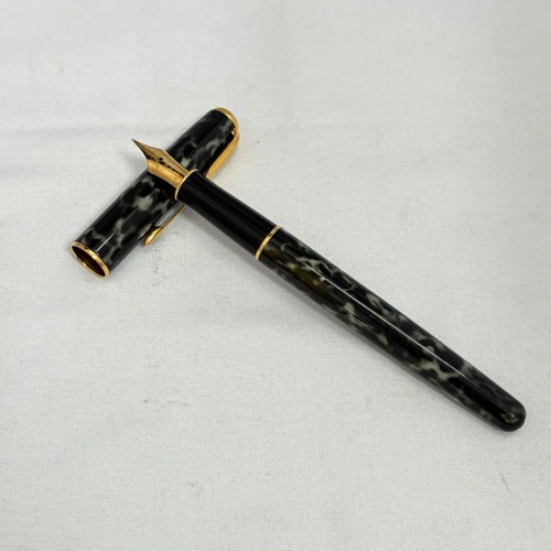 Penna stilografica parker - stilografica,