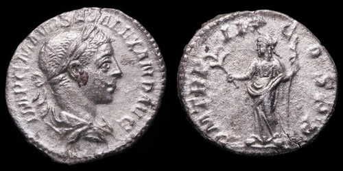 Severus alexander denarius p - severus,