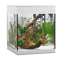 Askoll Aa350046 Acquario Pure LED, M, Bianco
