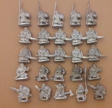  28mm Warhammer Grenadier Oldhammer Nani Dwarf Warriors